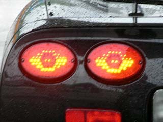 LED Rear Turn Signal